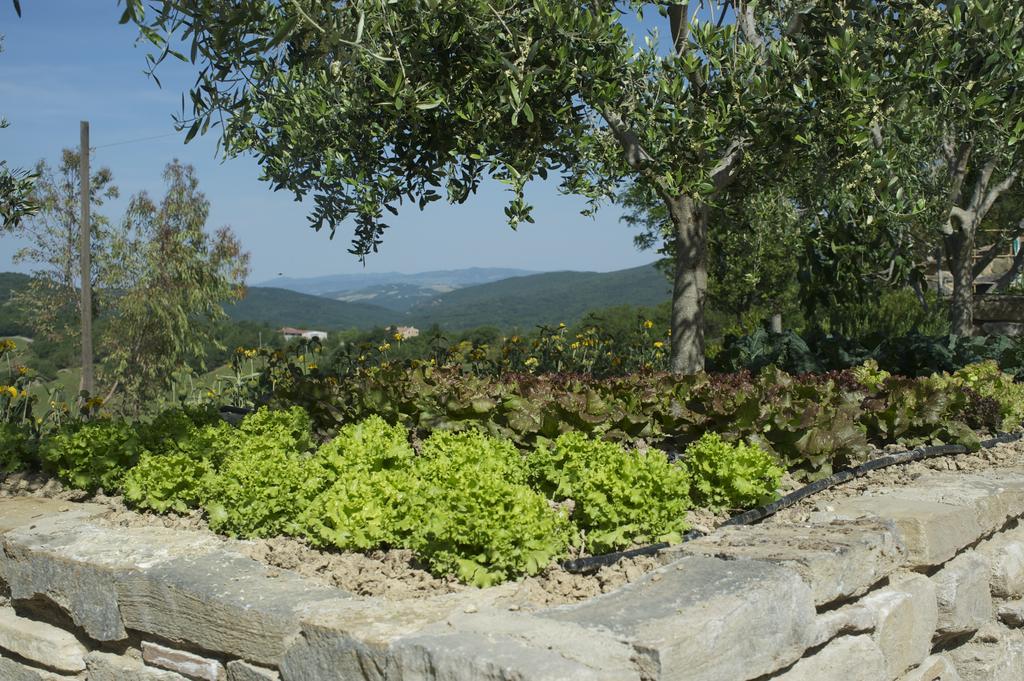 Agriturismo Erta Villa กาโซเล เดลซา ภายนอก รูปภาพ