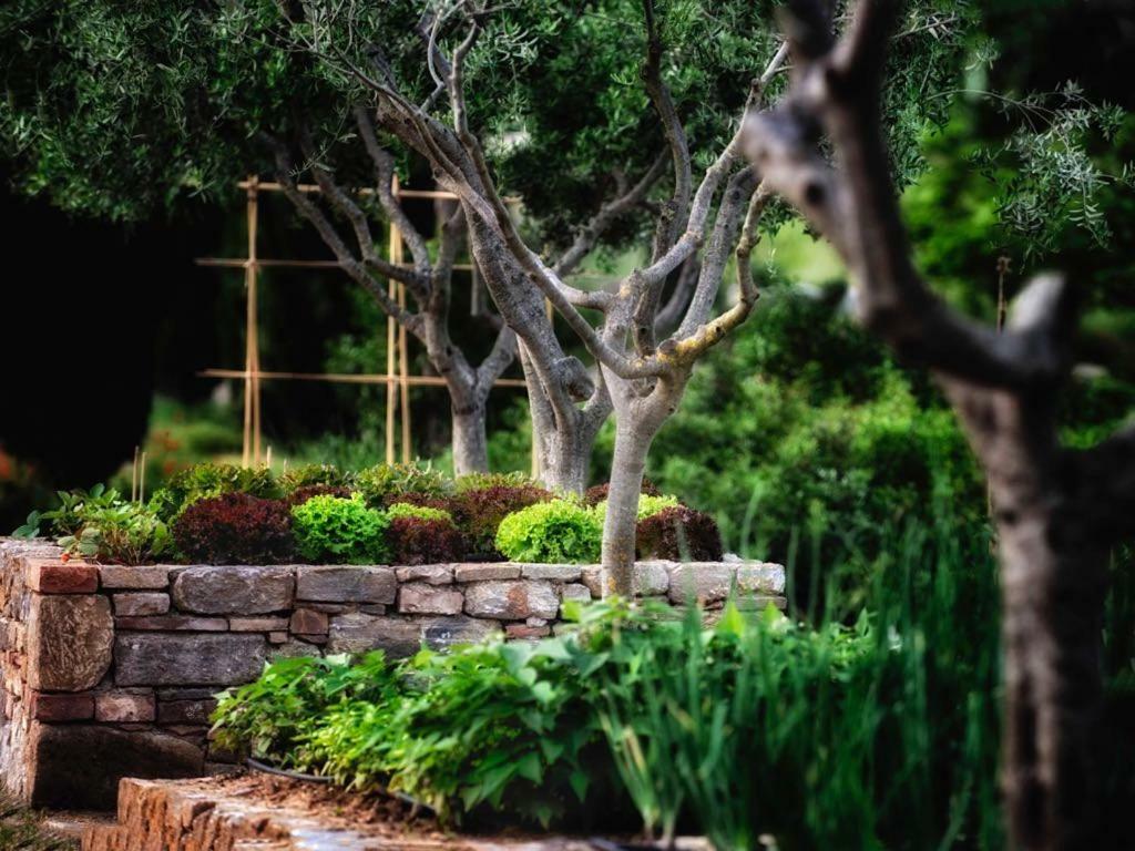 Agriturismo Erta Villa กาโซเล เดลซา ภายนอก รูปภาพ
