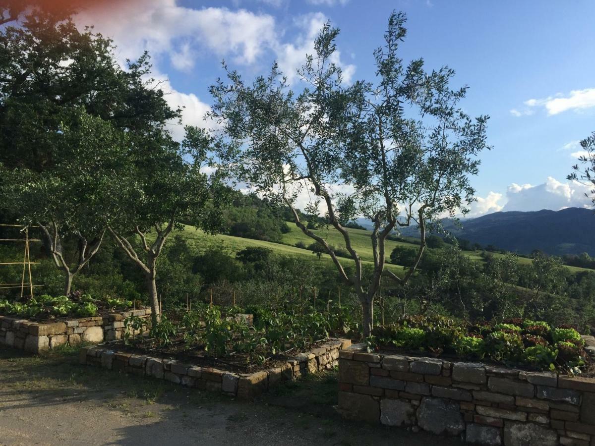 Agriturismo Erta Villa กาโซเล เดลซา ภายนอก รูปภาพ